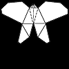 borboleta - Andrew Anselmo