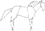 Cavalo