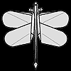 Libélula 2 - Steve Hecht